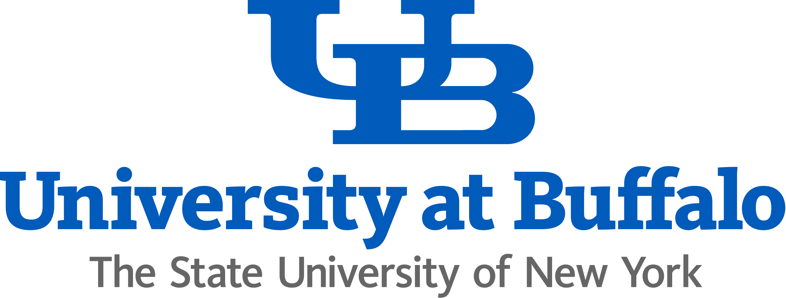 BSc Business Administration University at Buffalo